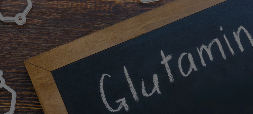 Glutamine : Quels sont les bienfaits de cet acide aminé ?