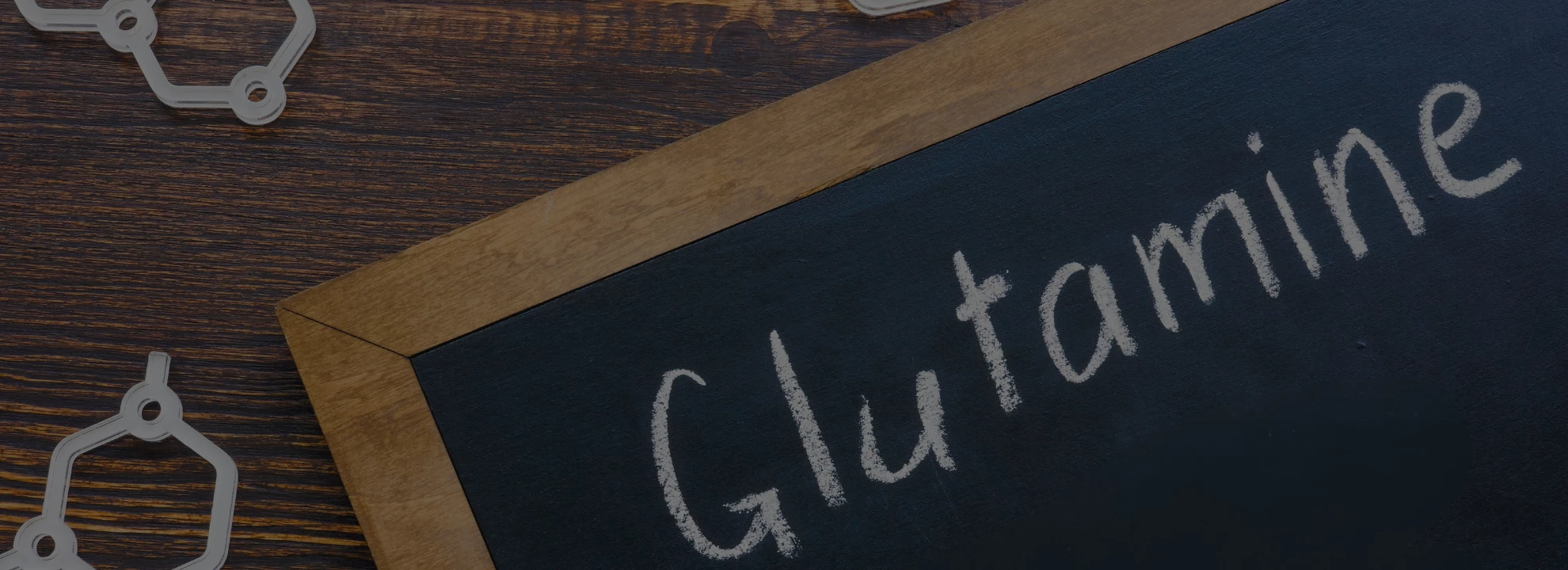 Glutamine : Quels sont les bienfaits de cet acide aminé ?