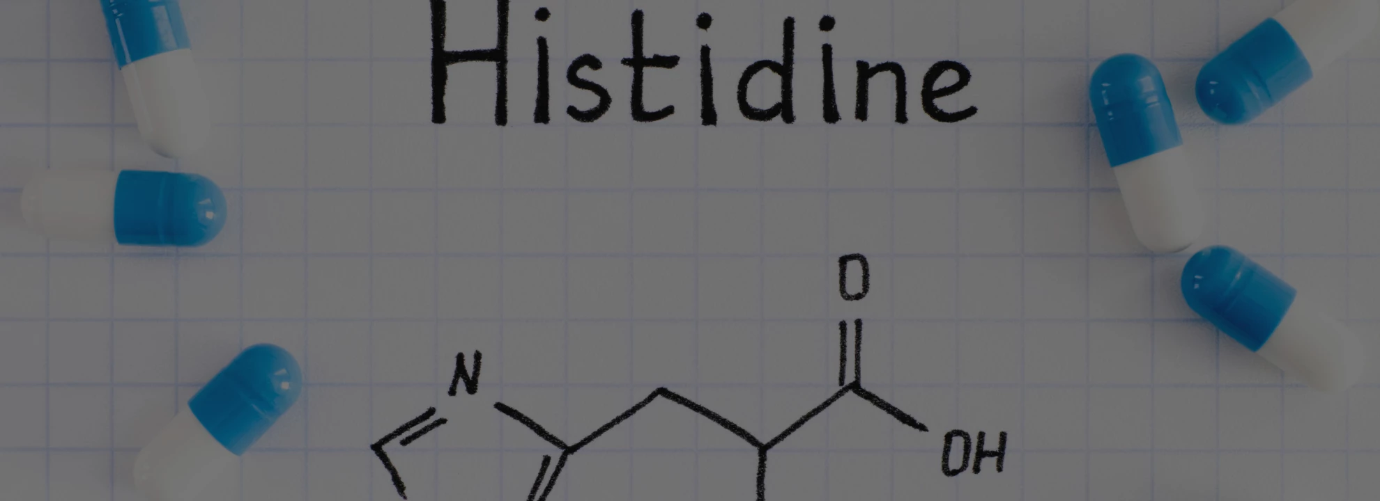 Histidine: Quels sont les bienfaits de cet acide aminé
