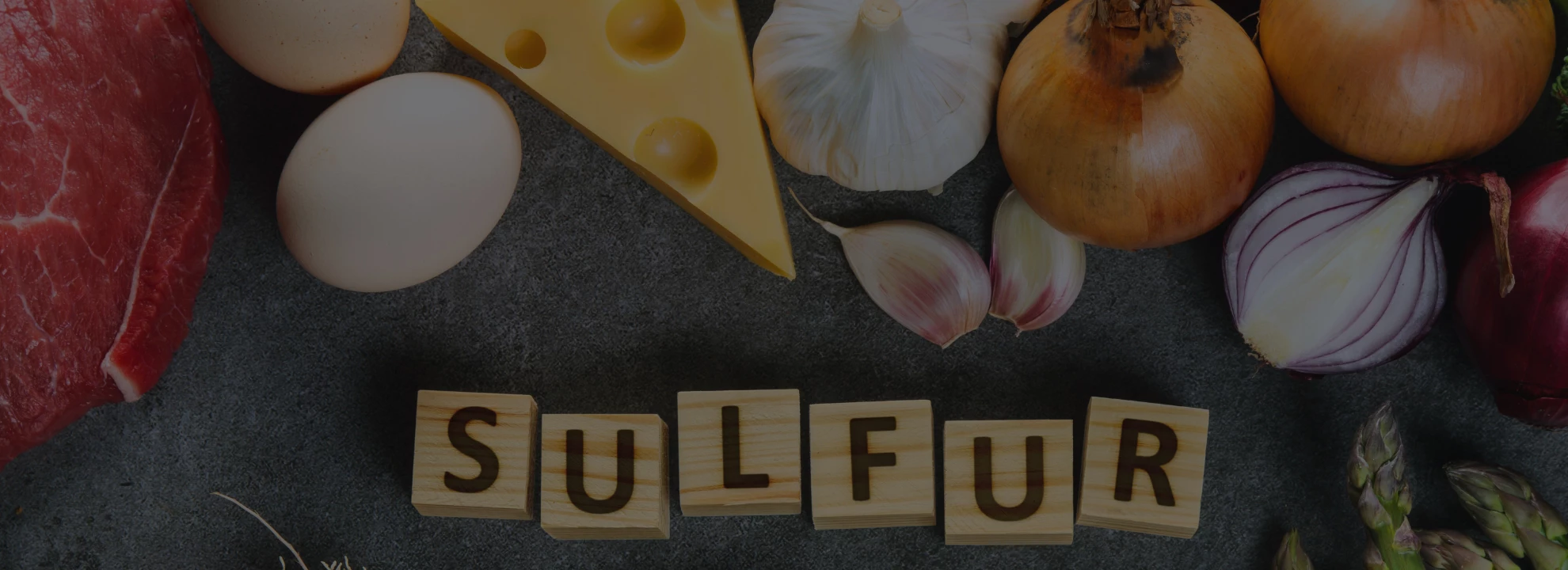 Soufre: Rôle et bienfaits pour la musculation
