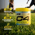 view1 C4 Sport